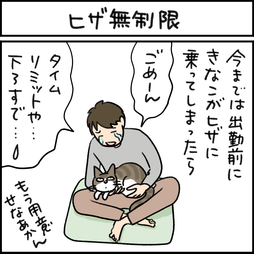 ねこ漫画