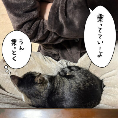 膝の上のきなこ