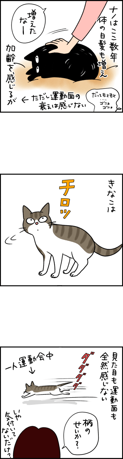 ねこ漫画