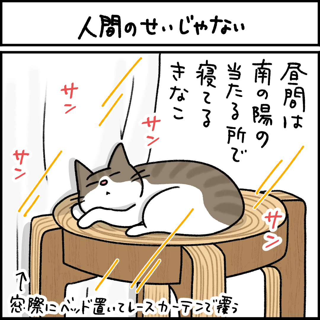ねこ漫画