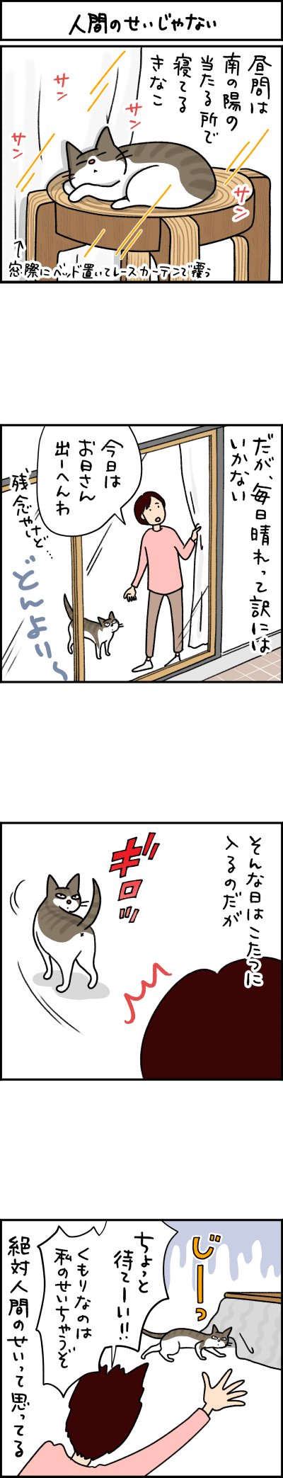 ねこ漫画