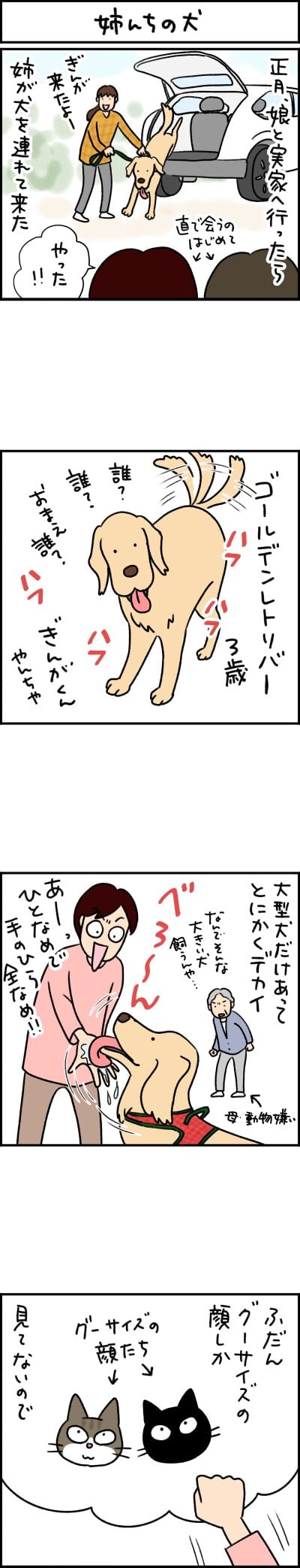猫漫画