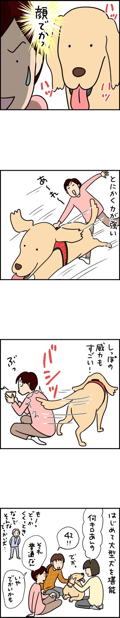 猫漫画