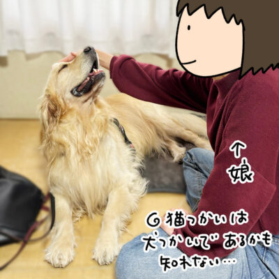 ゴールデンレトリバーのぎんが