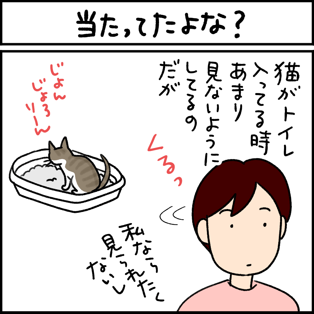 ねこ漫画