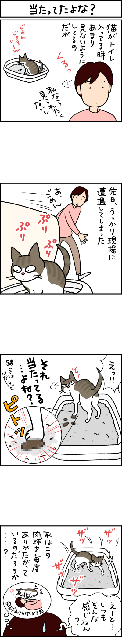 ねこ漫画