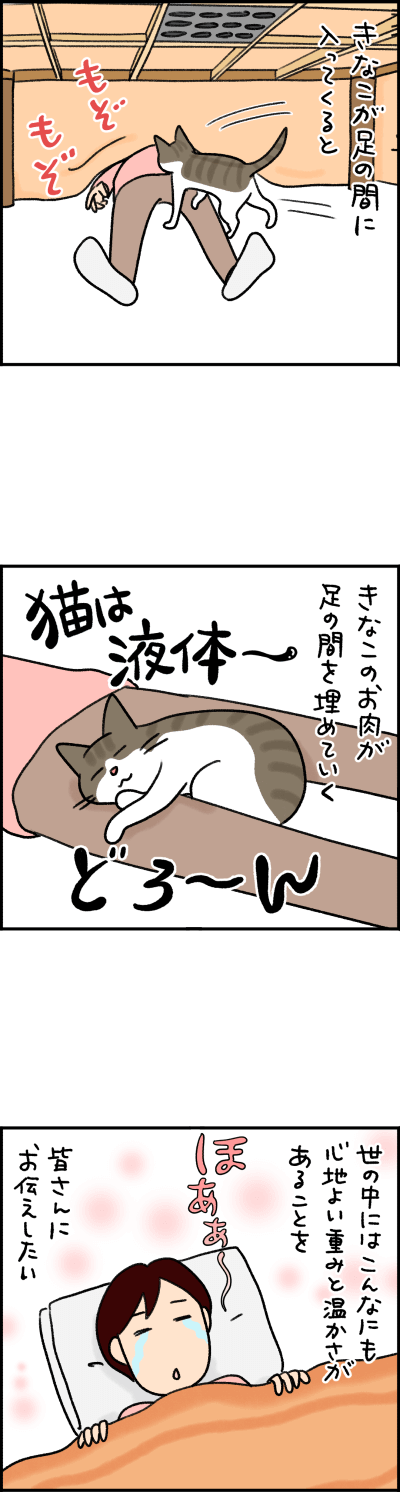 猫漫画