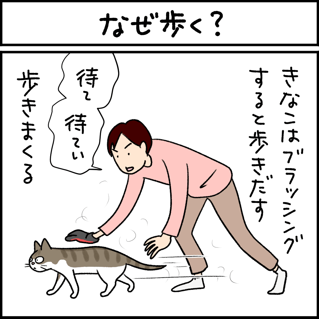 ねこ漫画