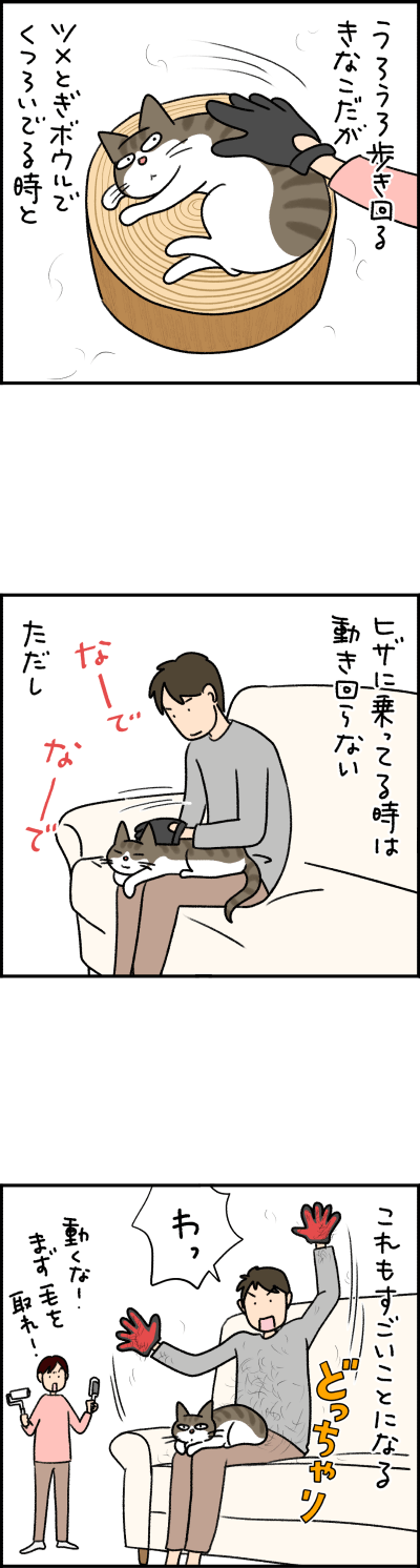 猫漫画