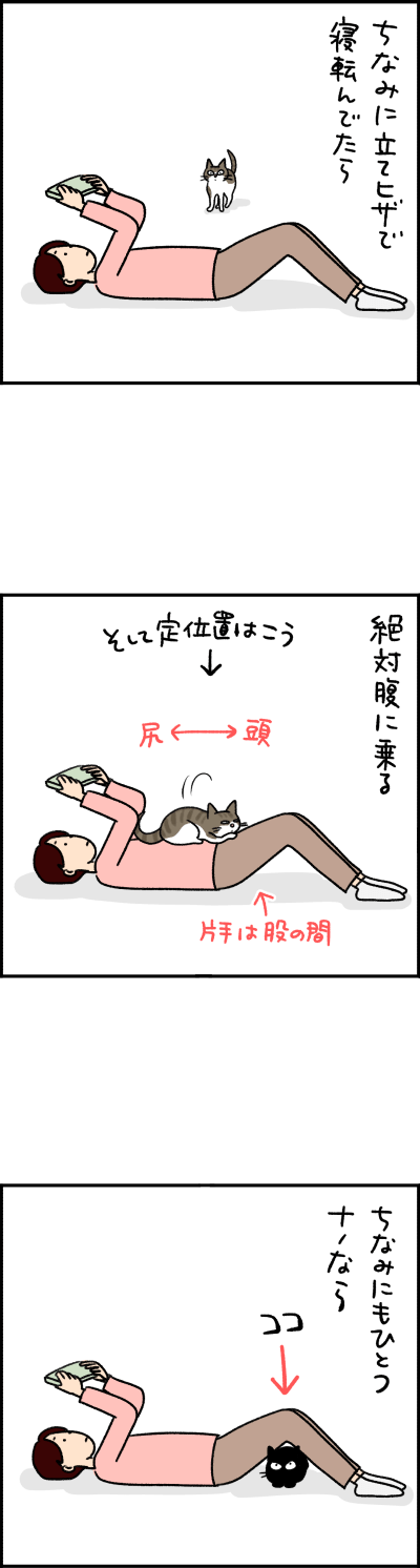 猫漫画