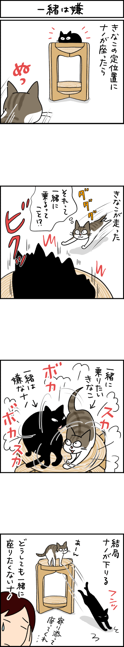 猫漫画