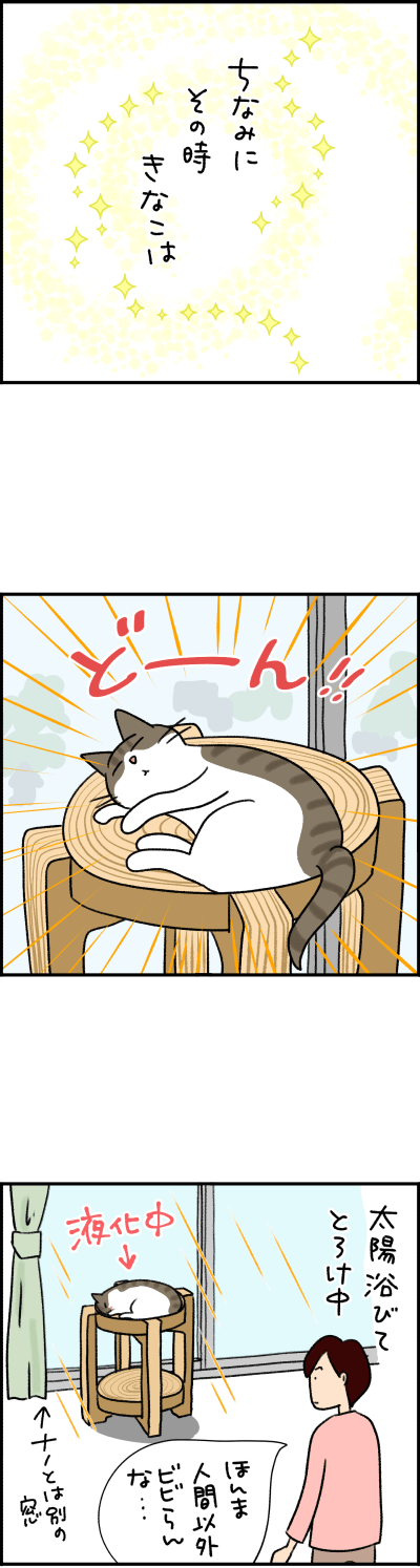 猫漫画
