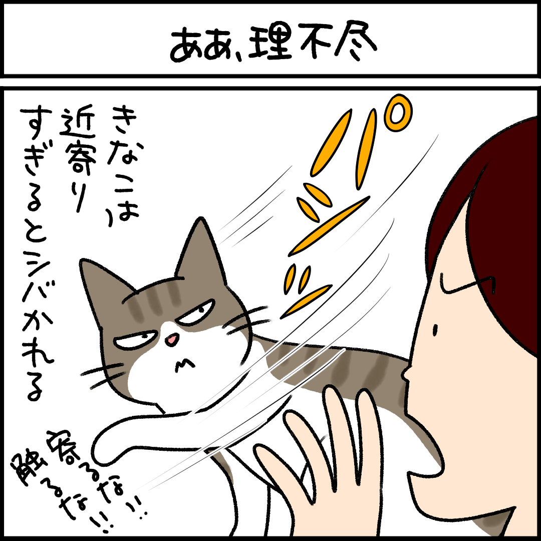 ねこ漫画