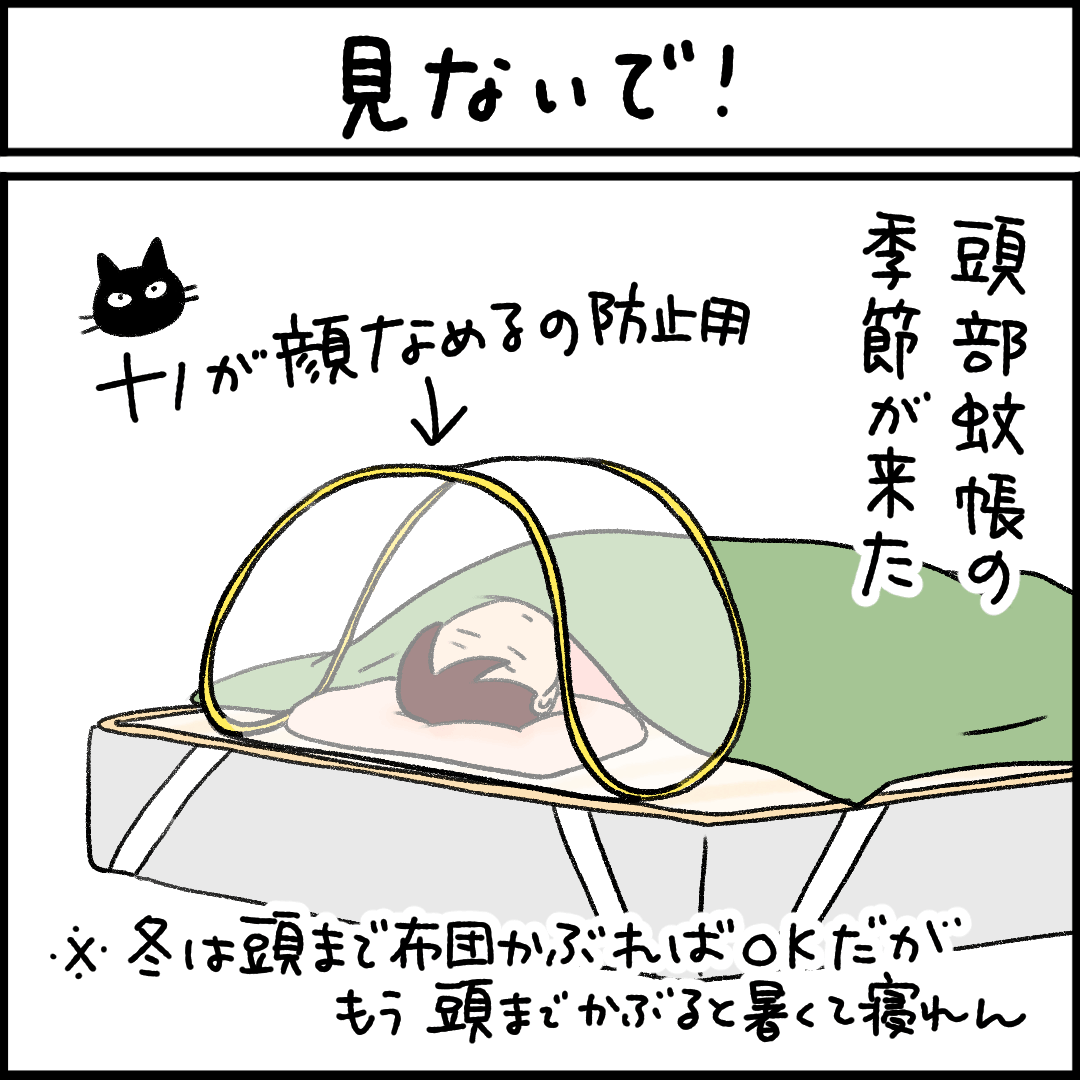 猫漫画
