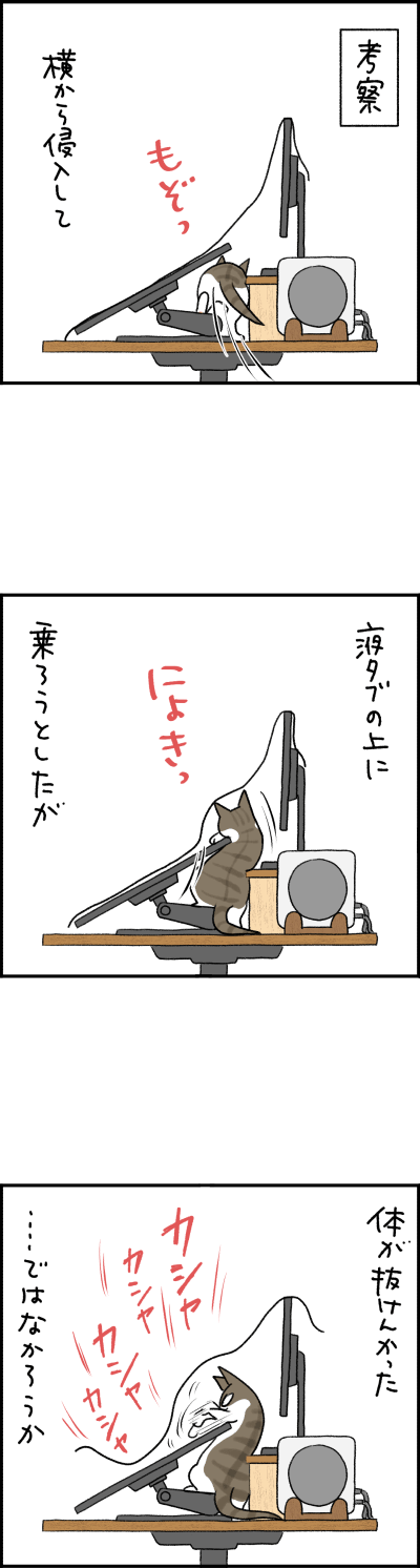 ねこ漫画