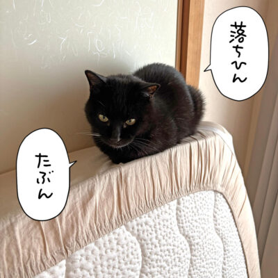 ベッドマットの上で寝る黒猫