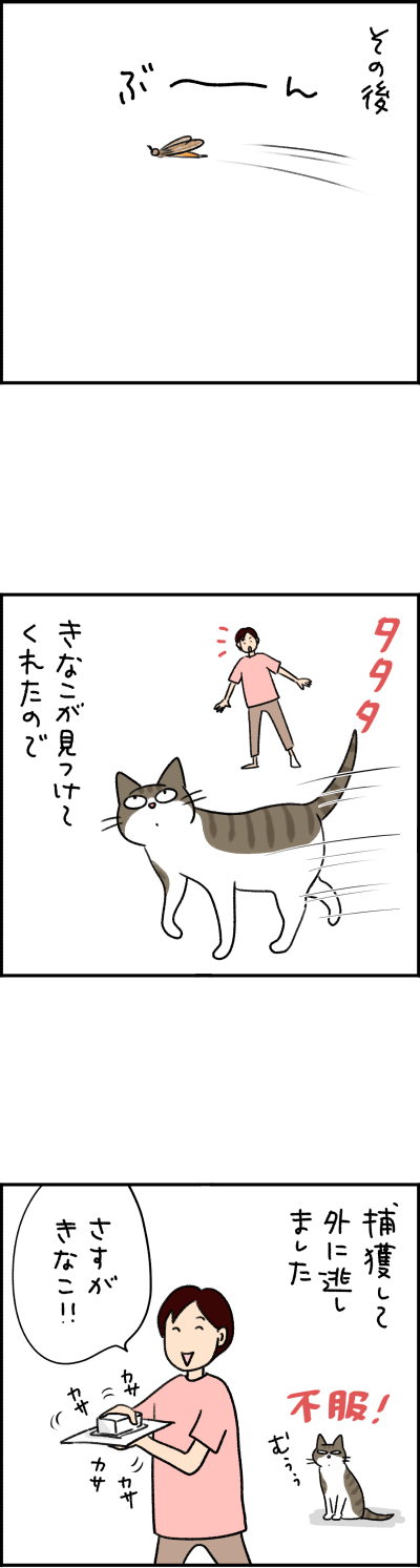 猫漫画