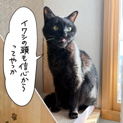 黒猫ナノ
