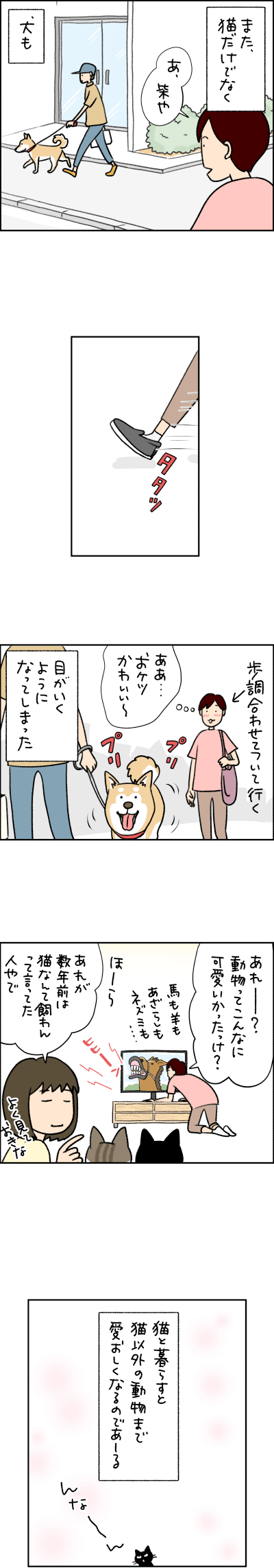 猫漫画