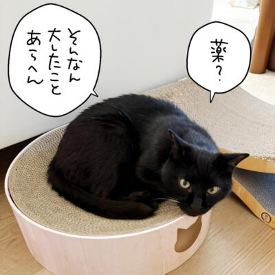 黒猫のナノ
