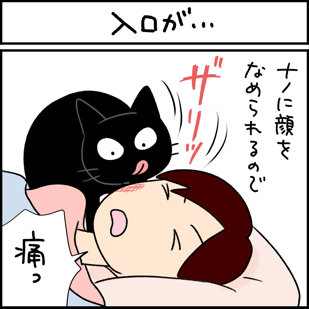 ねこ漫画