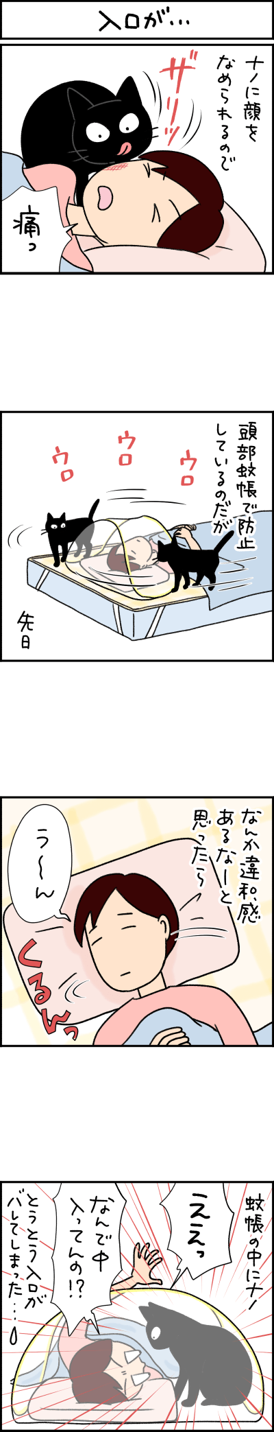 黒猫の漫画