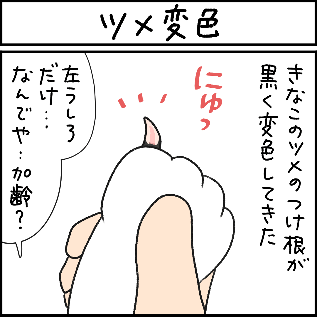 猫漫画
