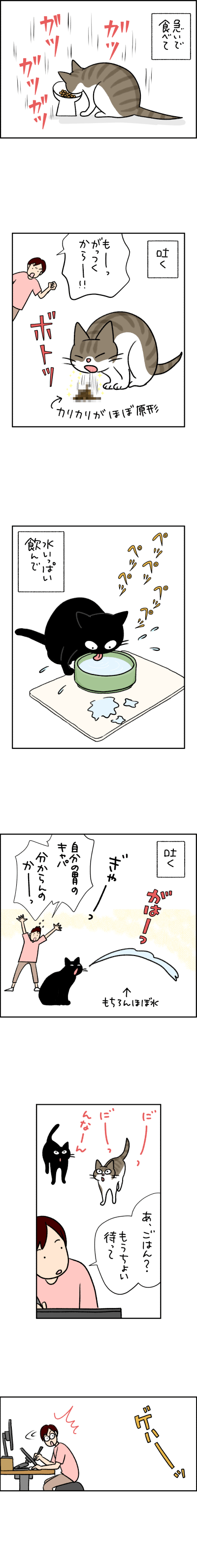 猫漫画