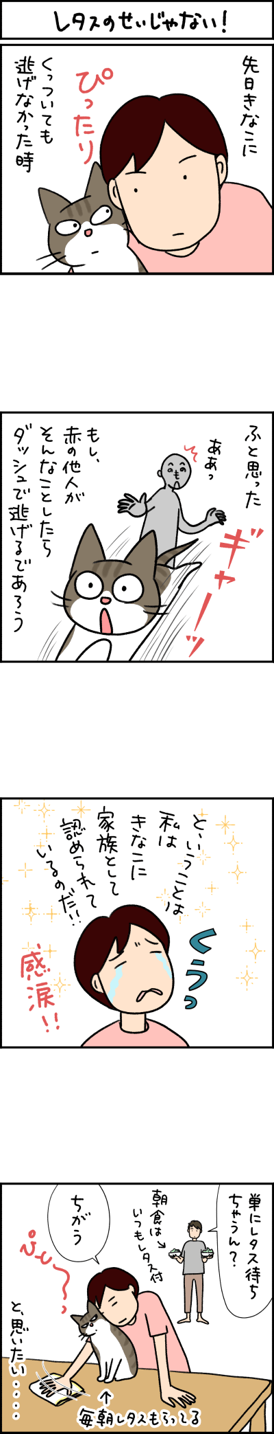 ねこ漫画
