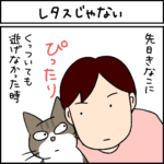 ねこ漫画