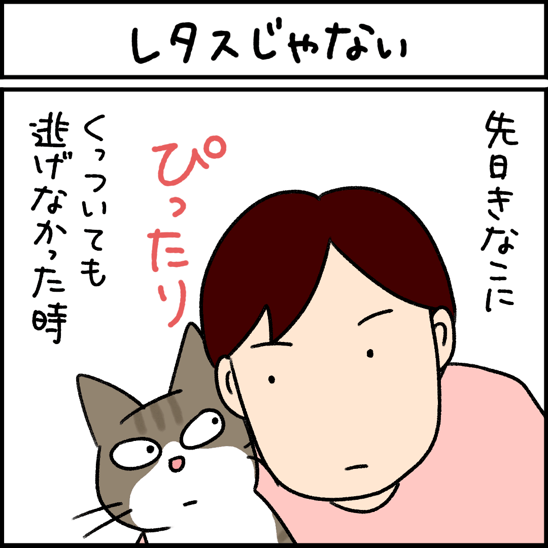 ねこ漫画