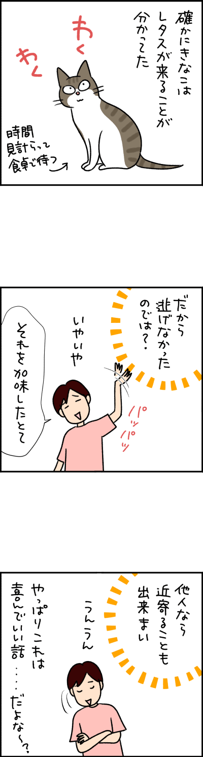 ねこ漫画