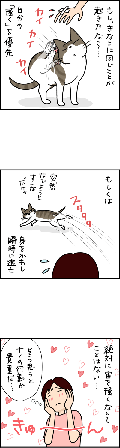 猫漫画
