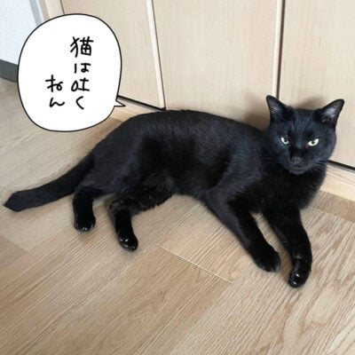 黒猫ナノが床に寝そべっている