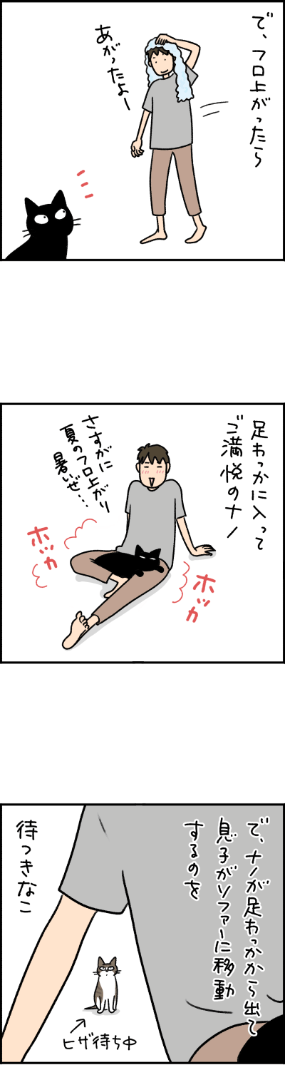 猫漫画