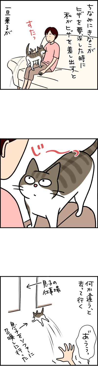 猫漫画