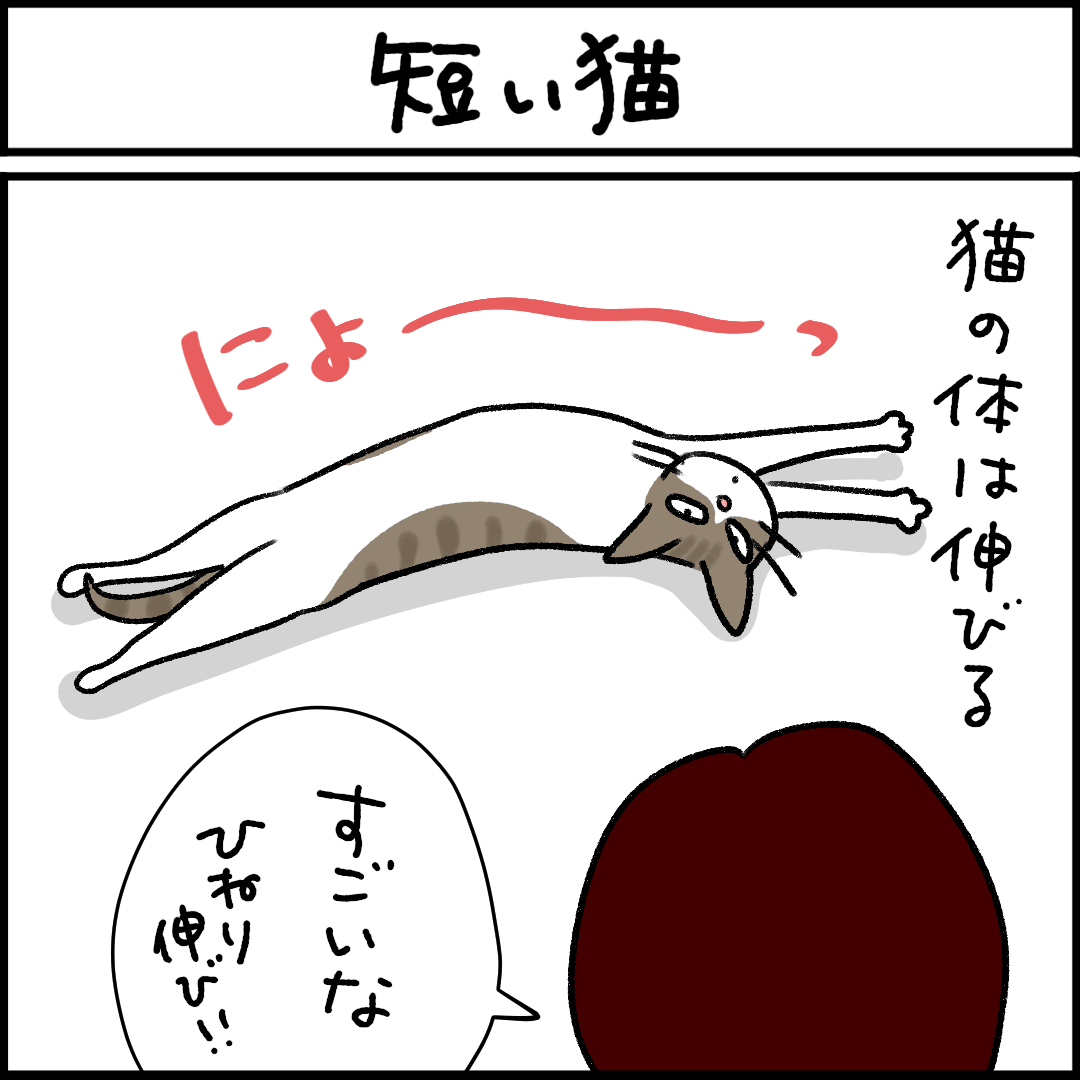 ねこ漫画