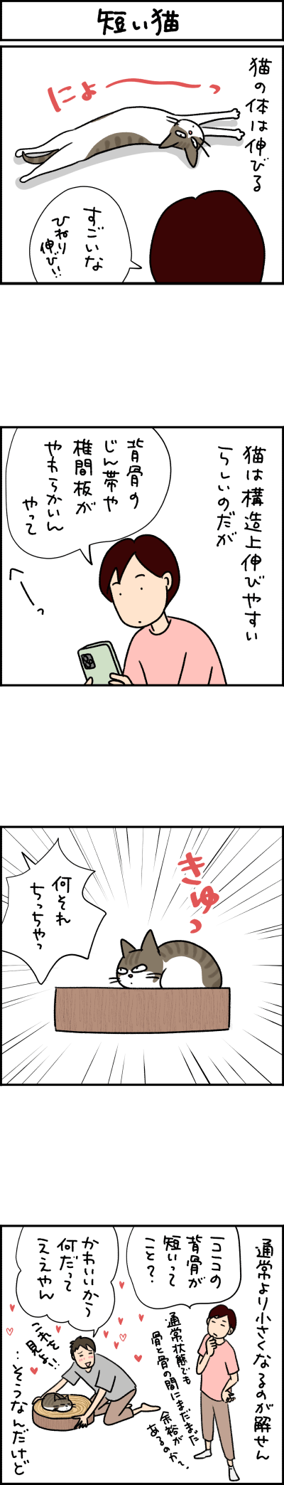 ねこ漫画