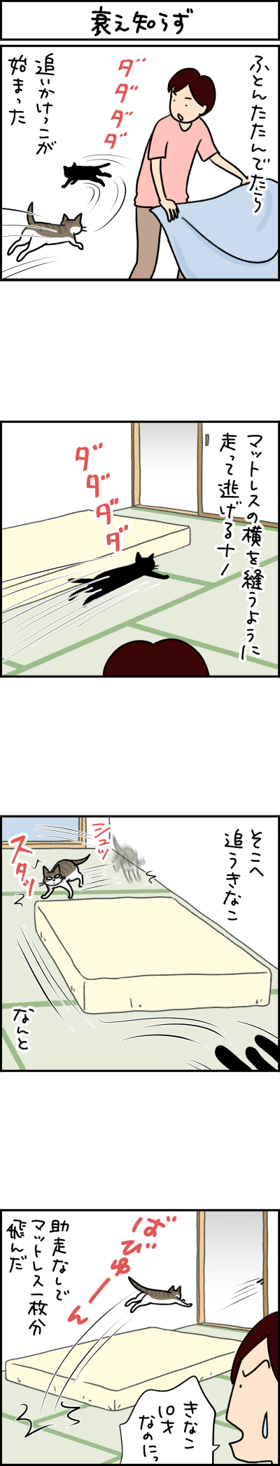 猫漫画