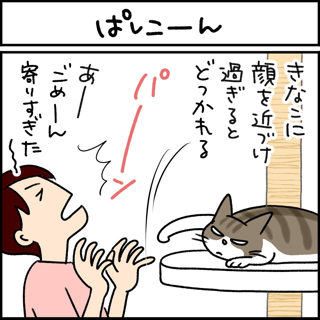 猫漫画