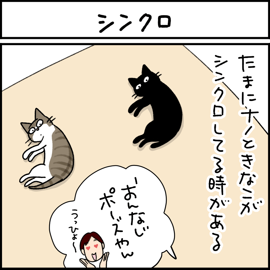 ねこ漫画