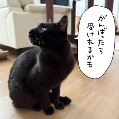 黒猫ナノ