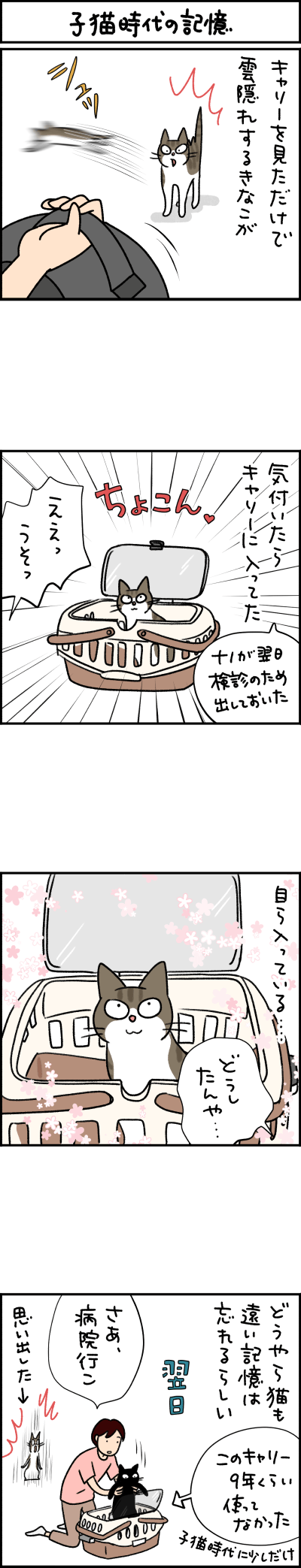 猫漫画