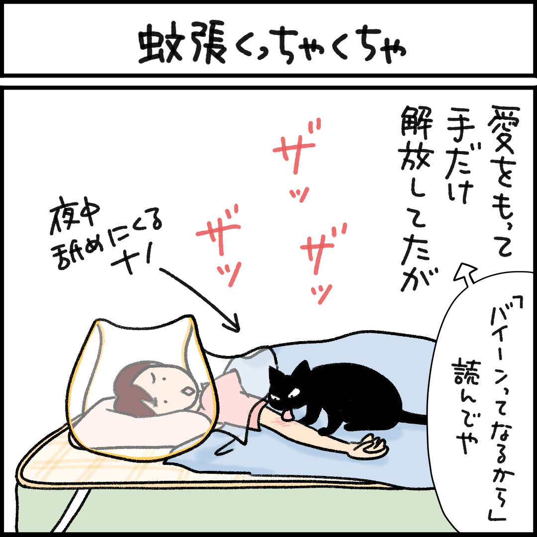 黒猫漫画