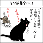 ねこ漫画