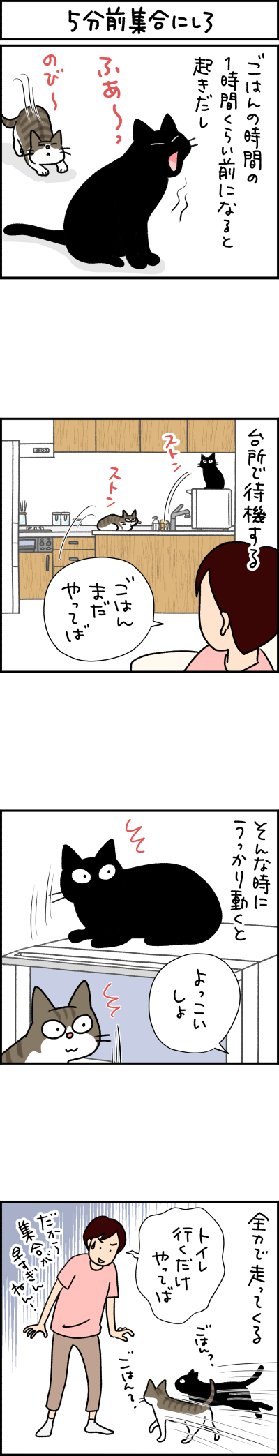 ねこ漫画