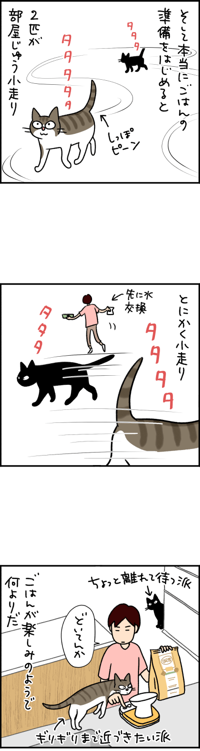 猫漫画