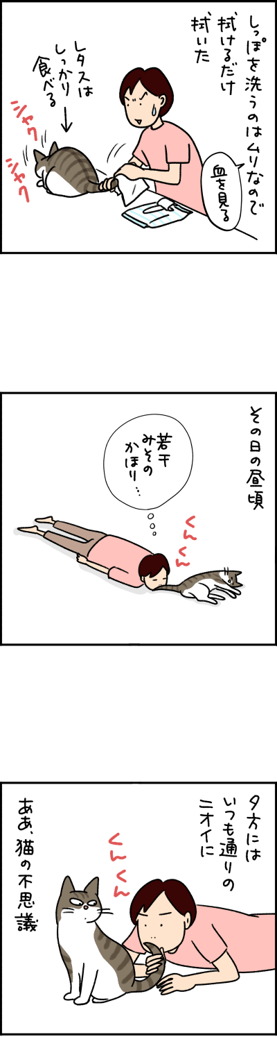 ねこ漫画