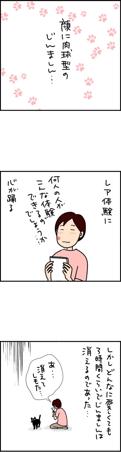 ねこ漫画