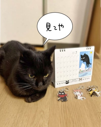 ナノときなこグッズの宣伝をする黒猫ナノ